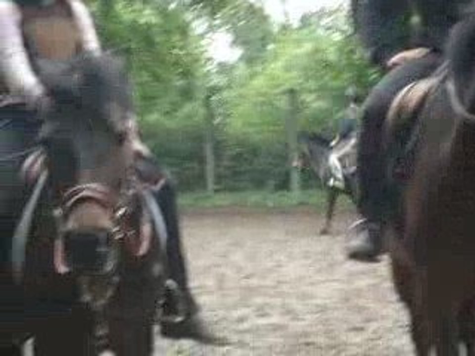 poney saut
