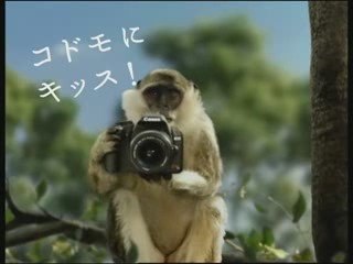 CANON eos Kiss Kiss Kiss CM 1