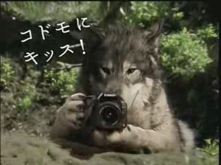 CANON eos Kiss Kiss Kiss CM 2