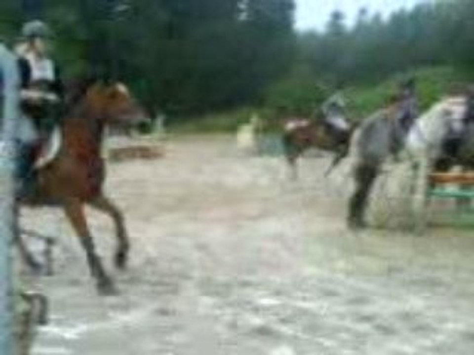 vendredi 5 juin 2009