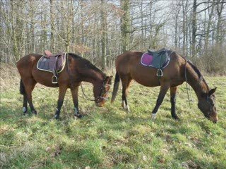 First & Royal Jump.