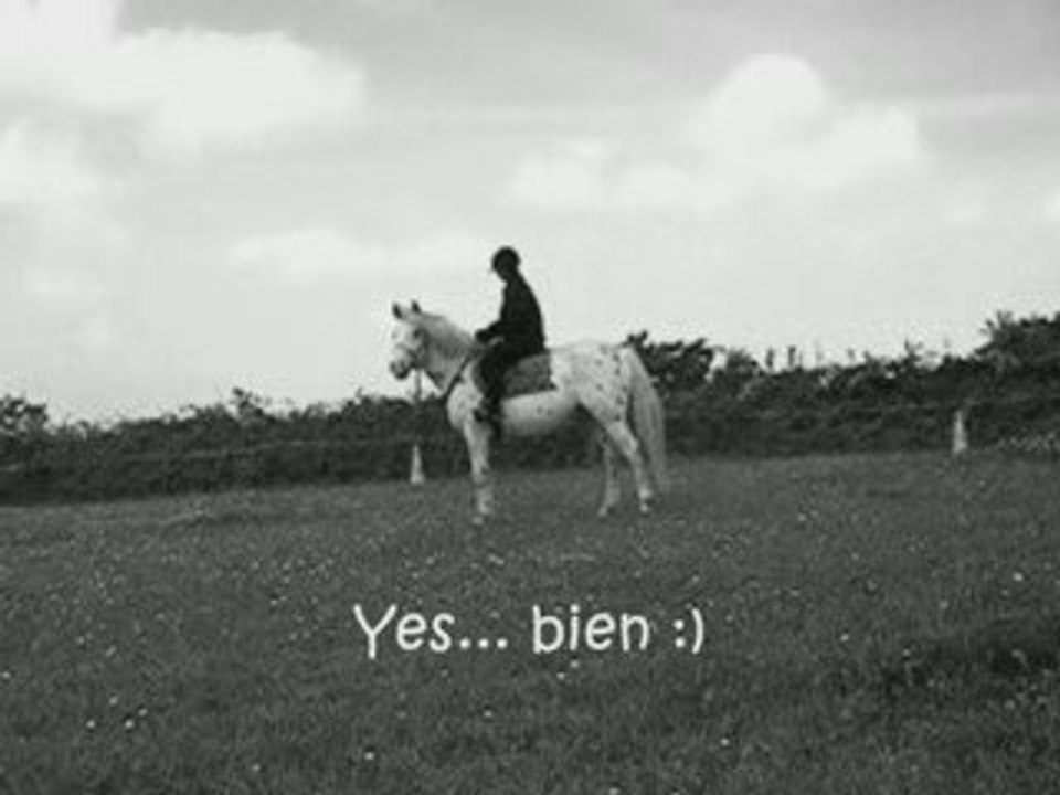 08/05/09   - travail en licol avec hondo