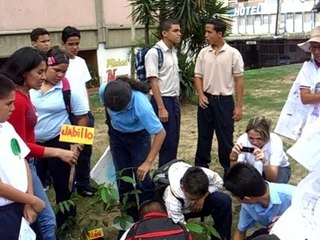 Caminata por el Ambiente L.B.Teresa Carreño