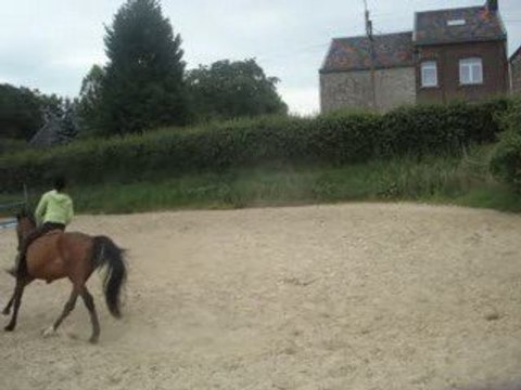 Balade à cru + galop et trot en cordelette + cercle en lib