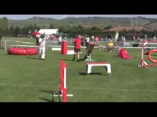 STGR Lezignan Union Agility1
