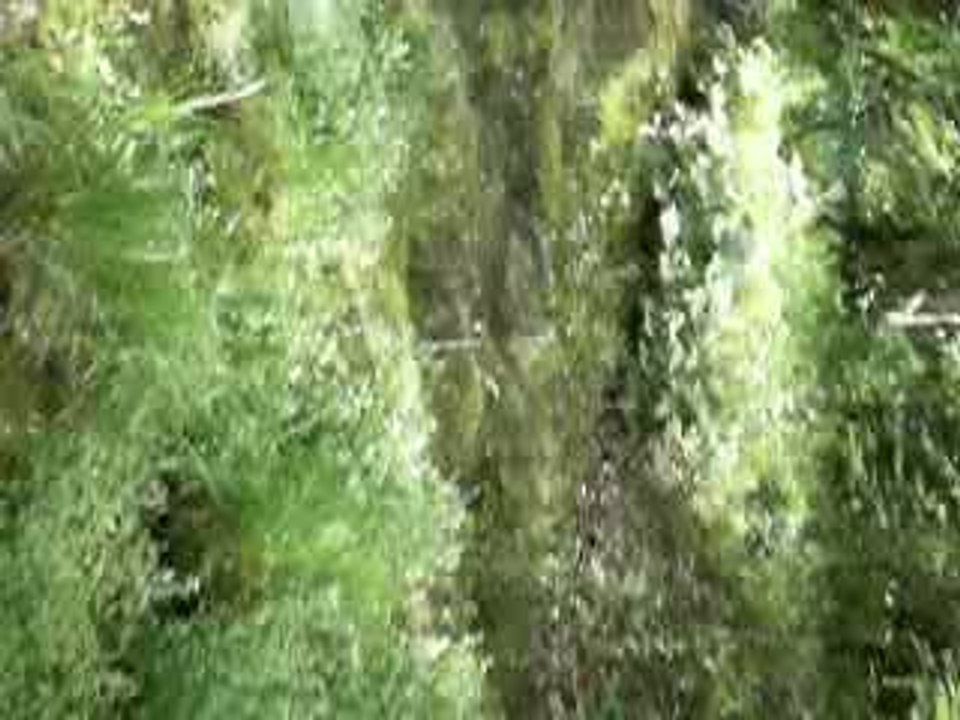Copie (2) de PICT0312