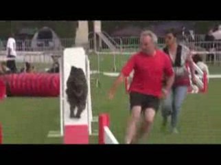 STGR Lezignan Union Agility2