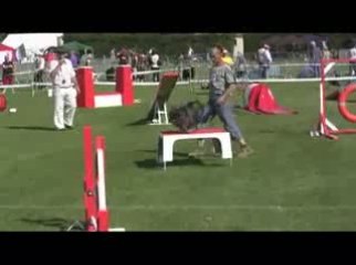STGR Lezignan Pyrenne Agility1