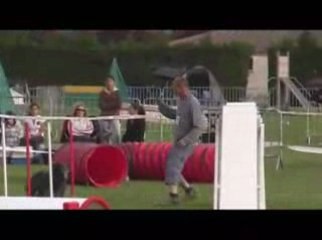 STGR Lezignan Pyrenne Agility2