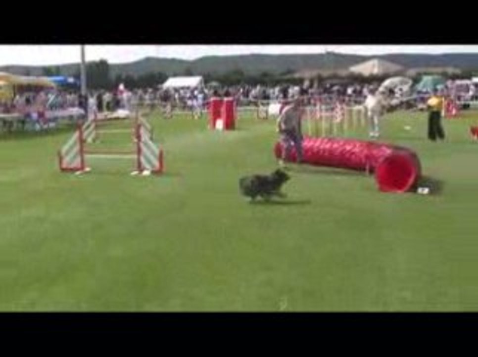 STGR Lezignan Pyrenne Jumping2