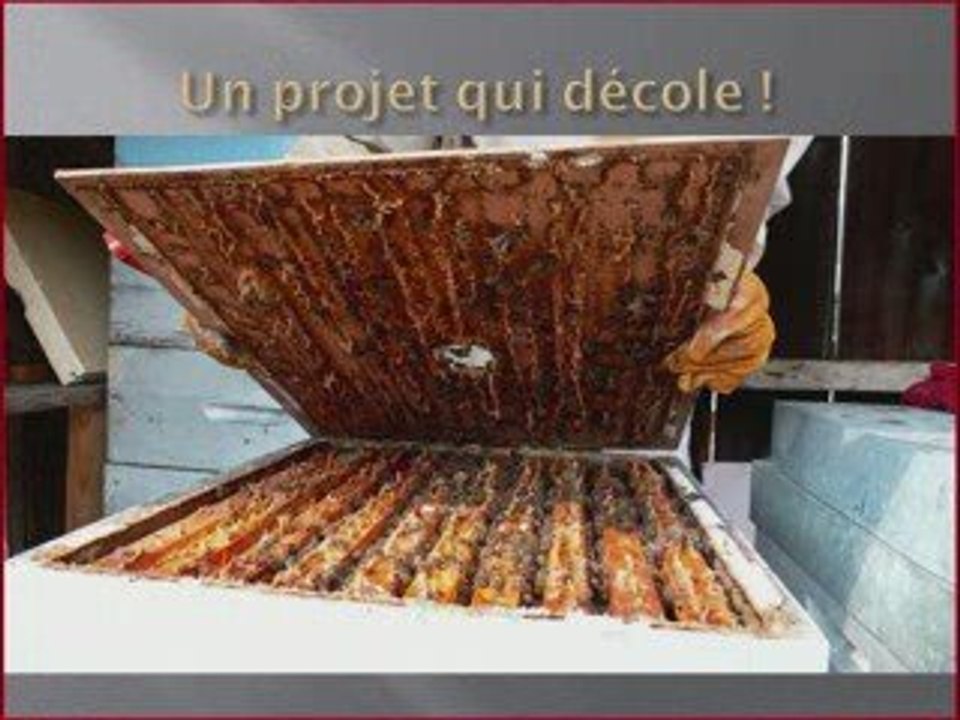 Film présentation du projet