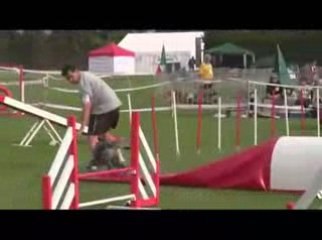 STGR Lezignan Blueberry Agility2