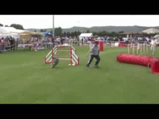 STGR Lezignan Blueberry Jumping2