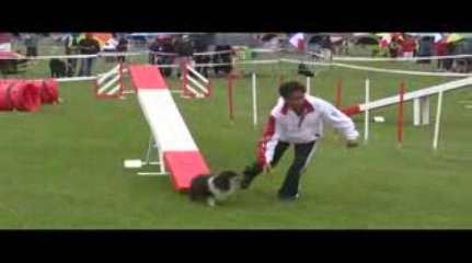 STGR Lezignan Angel Agility2