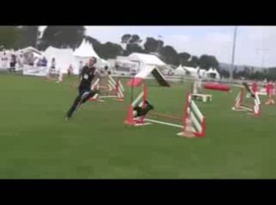 STGR Lezignan Fripouille Agility1