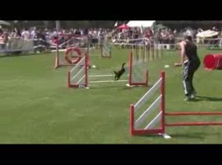 STGR Lezignan Fripouille Jumping1