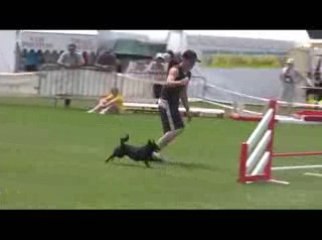 STGR Lezignan Fripouille Jumping2