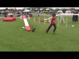 STGR Lezignan Snoopy Agility2