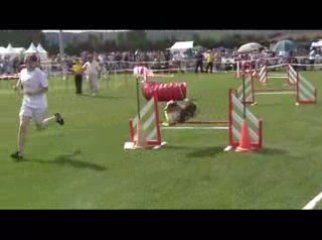 STGR Lezignan Cayenne Jumping2