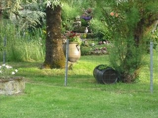 Le jardin de joelle printemps 2009