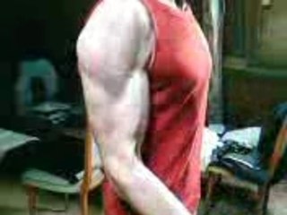 s.w.f blackston qui fais une petite serie