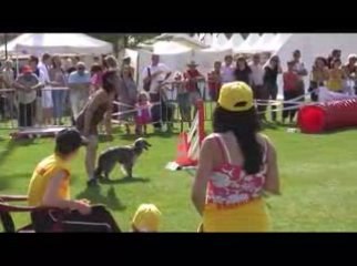 STGR Lezignan Vesta Agility1