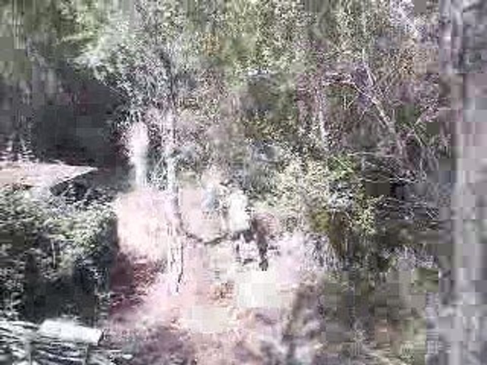 paintball bellegardais