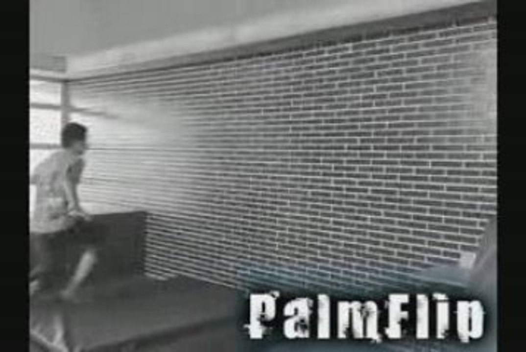 PalmFlip Fer!!
