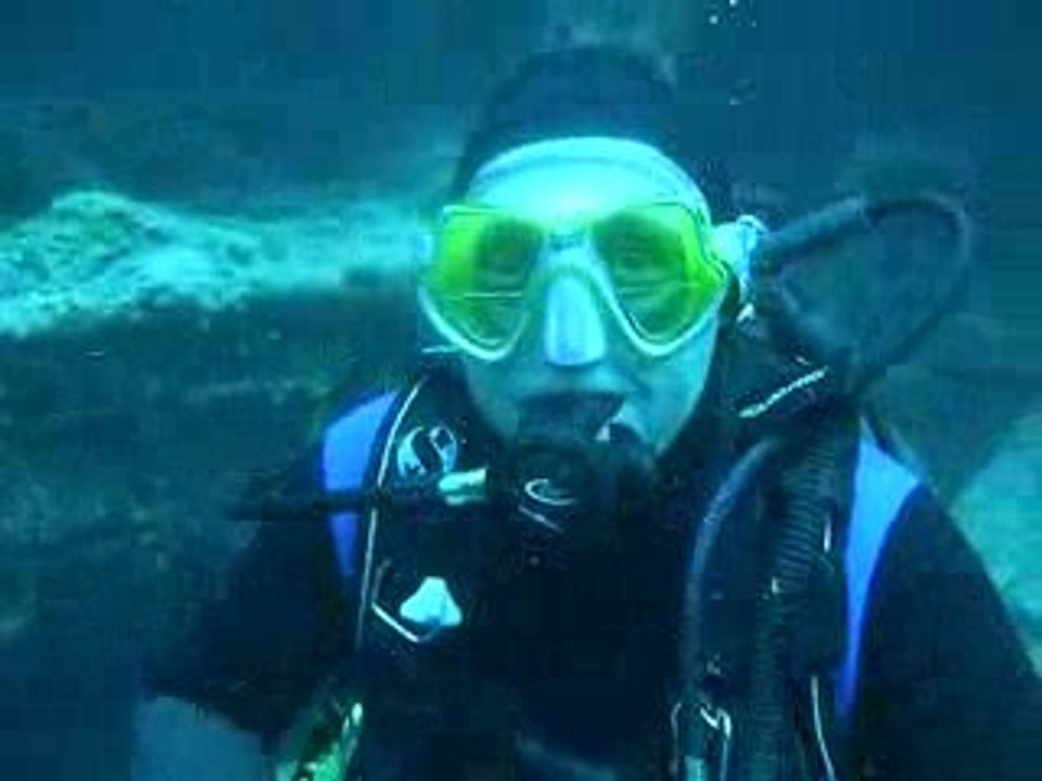 FRANCIS SUR LE THISTELGORNE