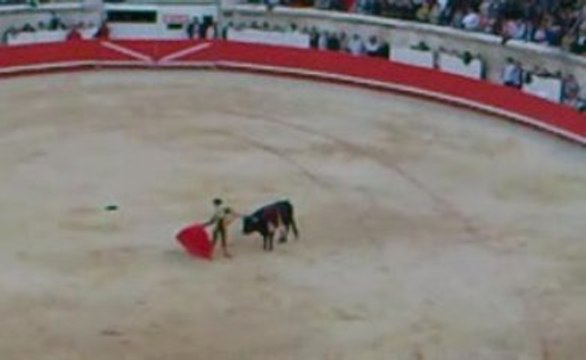 Sébastien CASTELLA 2 oreilles