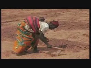 Viaggiatore bianco, cuore nero