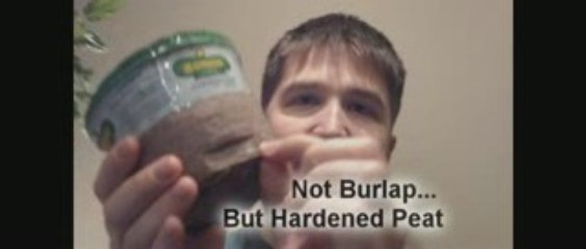 Perfect Plants Use Peat Pots