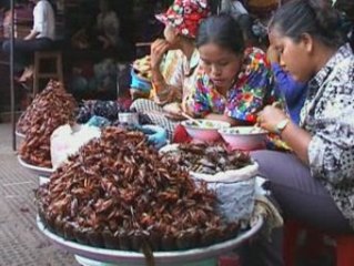 Kambodża, Cambodia - Phnom Penh