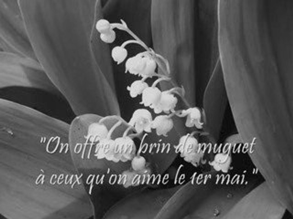 juliette et juliette