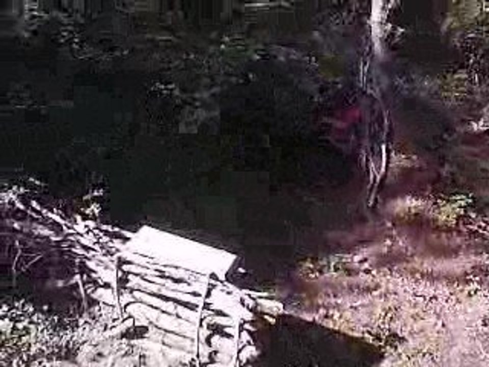 paintball bellegardais