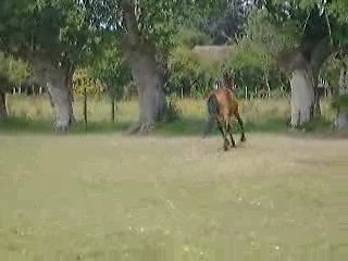 QUARTZ 6 juin 2009 - 1