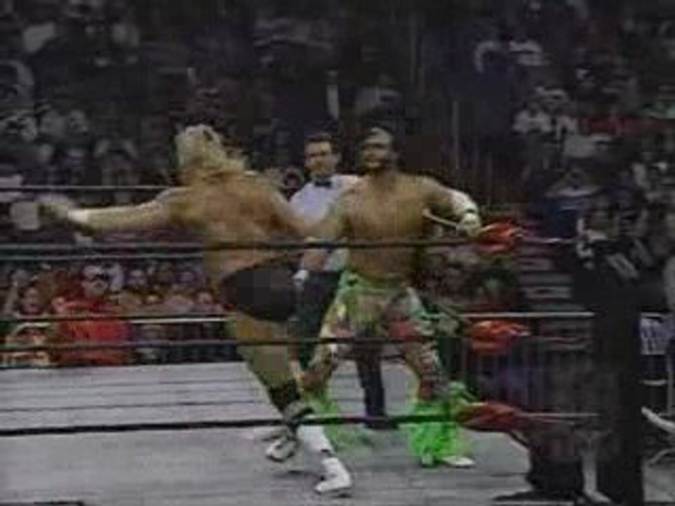 WCW Nitro 04-12-95 {Part 4}