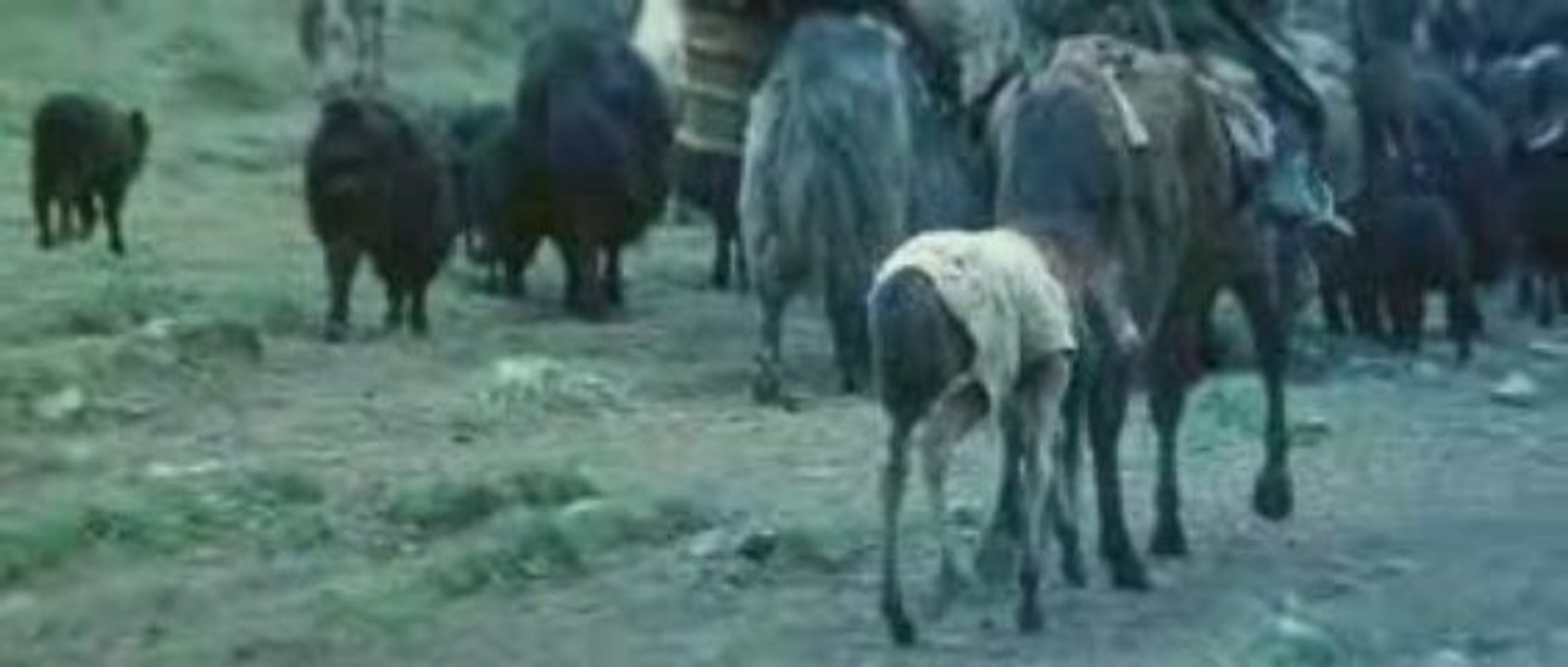 Le voleur de chevaux 4