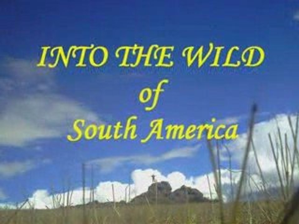 INTO THE WILD OF SOUTH AMERICA