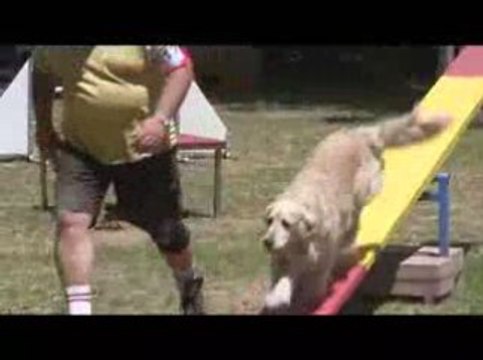 Salsa Degré Agility Dagneux 21/06/2009