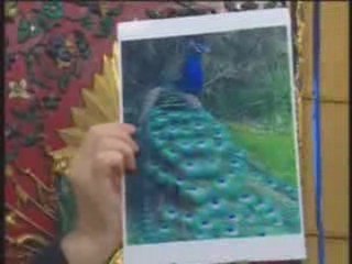 CELAL HOCA EĞİTİMDE - DERS 20