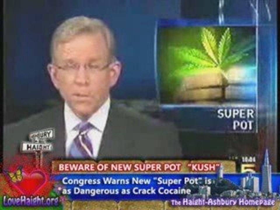Congress Warns: New "Super Pot"  Dangerous as Crack Cocaine!