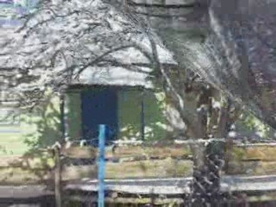 Köyden Kış Görüntüleri