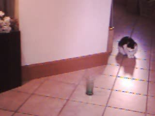 balle de ping pong 4