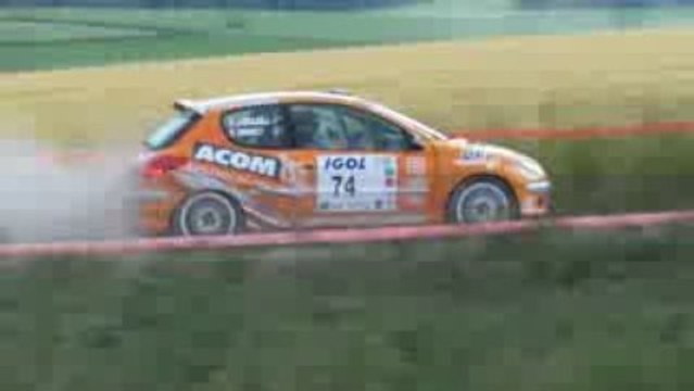 thomas didime 206 RC rallye jules vernes 2009