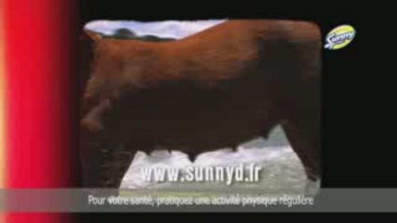 sfregfzg