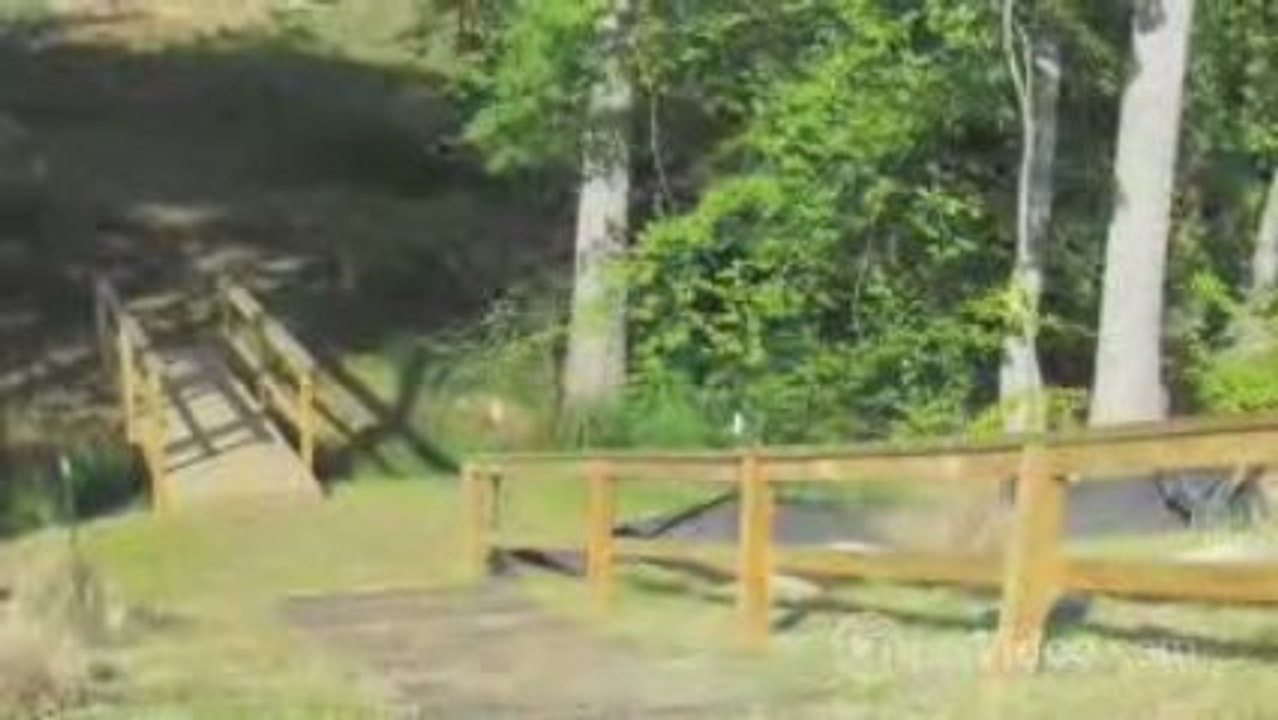 Chamberlain Place Apartments For Rent in Winston Salem, NC