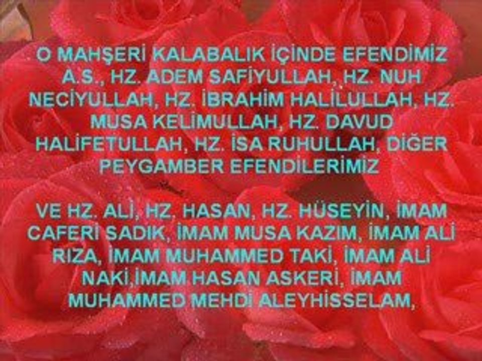 Mevlana Eş-Şeyh Es-Seyyid Eş-Şerif Muhammed Sıddık Efendi