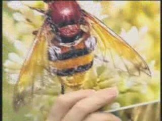 CELAL HOCA EĞİTİMDE - DERS 9