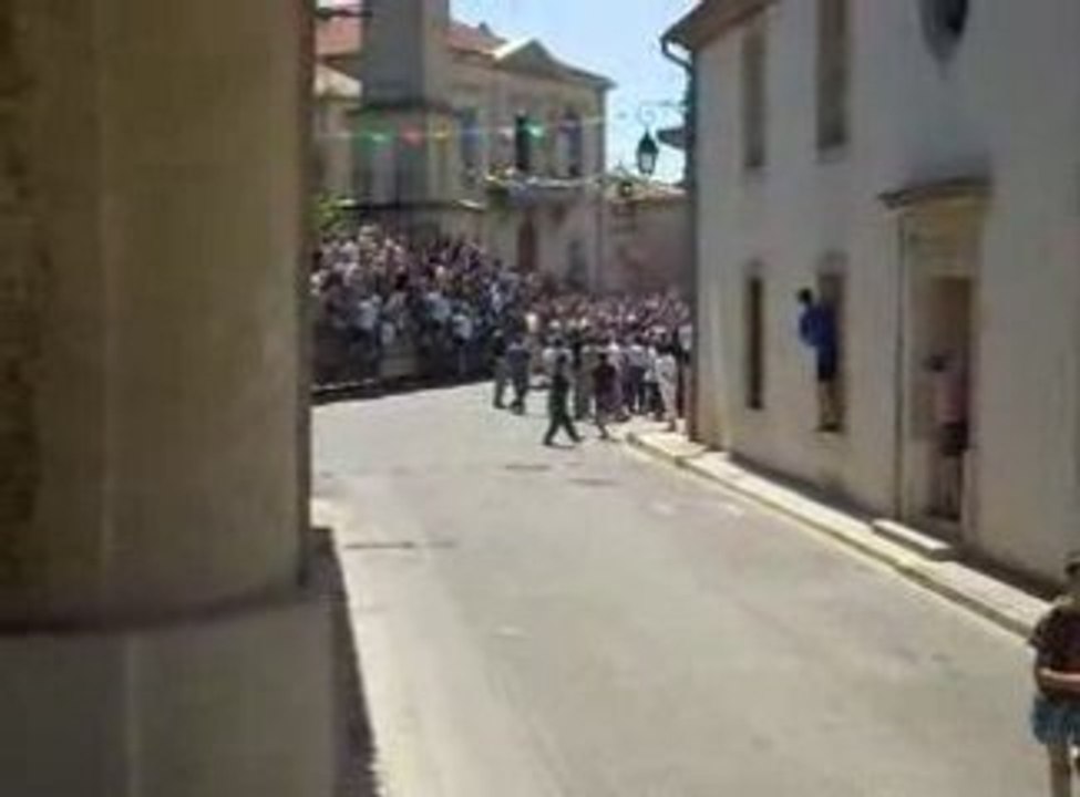 ROBERT H ET SES 20 TAUREAUX